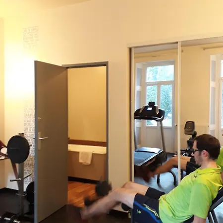 Au Pavillon Du Frene 3* Lacaune