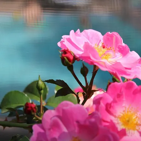 Ξενοδοχείο Au Pavillon Du Frene